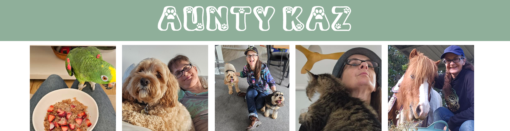 Aunty Kaz banner